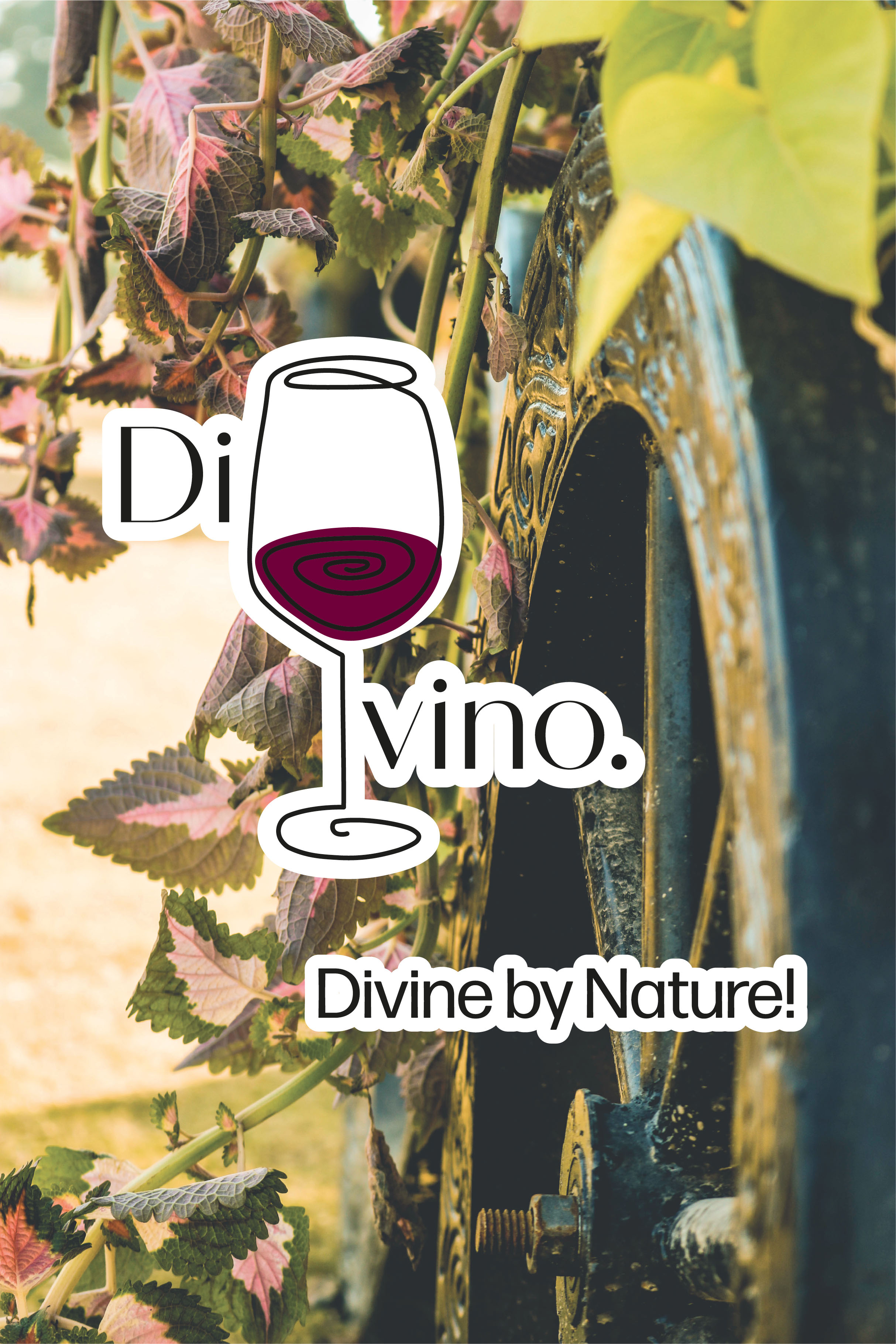DI VINO
